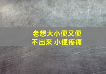 老想大小便又便不出来 小便疼痛